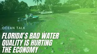 The Devastating Impact of Water Quality Issues on Florida's Economy