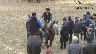 Дрон тасвир. Бобиршох полвон Дилшод хожи акани 33 лақабли тулпорида. Сайхунобод тумани 24.02.2023
