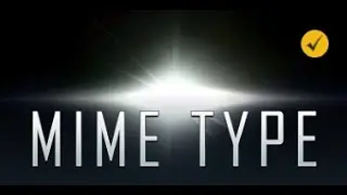 MIME TYPE