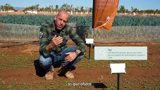 INITIO Demo - Seed technology | Demo video (EN)