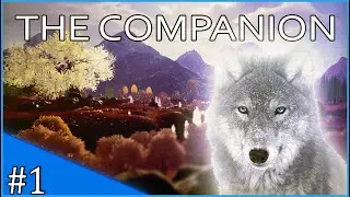 The Companion | NEW RELAXING GAME! | #1