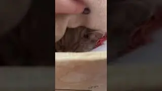 Нашлась пропажа)