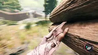Forest part 2 duo