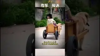 专车接送#shorts