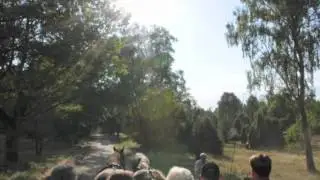 Lüneburger-Heide: Kutschfahrt bei Wilsede