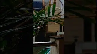 So satisfying video 😍||Romantic Rainfall #viral #shorts
