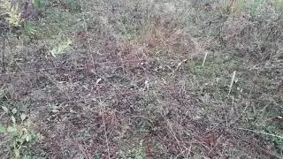 Ленточный фундамент своими руками. Строим для себя.