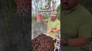 🦞 How Crawfish Traps Work 