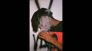 playboi carti songs that tiktok ate...