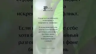 Что побеждает конфликт? ©️ Размышлизмы от Булгаковой ©️ #жизнь #конфликт #благодарность #улыбка