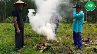 MANFAAT ABU BAGI TANAMAN DI MUSIM HUJAN