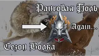 Натиск - Сезон Огненного Волка | Путь из Серебра в Золото (в Дебютанты) II