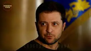 В Раде заявили, что Зеленский скрывается в посольстве США в Польше