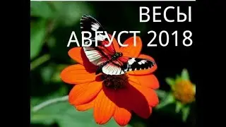 ВЕСЫ - ТАРО ПРОГНОЗ НА АВГУСТ 2018 года