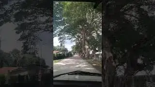 Unwind travel 🌳