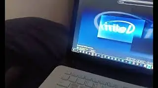 intel logo scan has bsod