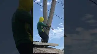 TRAGEDI !!! TRUK, MOTOR, KABEL JADI KORBAN || Tebang Pohon Sengon