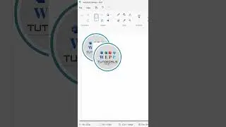 Transparent Background Image In MS Paint | 