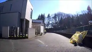 ニャンコ飛び出し、危機一髪
