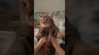 Самый  милый тренд 😻