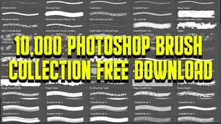 10,000 Photoshop Brush Collection Photoshop Tutorial