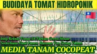 RUMAH KACA DAN MEDIA TANAM COCOPEAT 🇹🇼