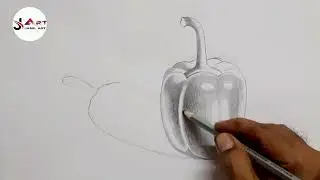 How to draw capsicum || Capsicum Vegetable Drawing