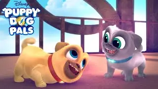 Заставка к мультсериалу Дружные мопсы / Puppy Dog Pals intro