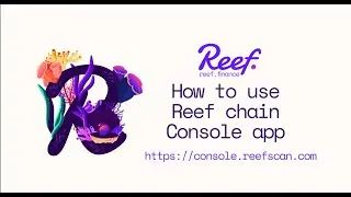 Overview of the Reef Chain Console Application | Reef Tutorials
