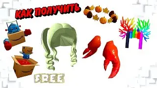 ПОЛУЧАЕМ ВЕЩИ В ИНВЕНТАРЬ😻🥰БЕСПЛАТНО: ВОЛОСЫ, КОГТИ КРАБА, КОРОБКИ, ОРЕОЛ, КОРОНУ