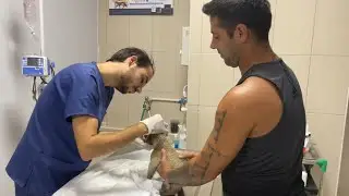 KÖR KANGAL YAVRUMUZ TEKRAR GÖRECEK🙂