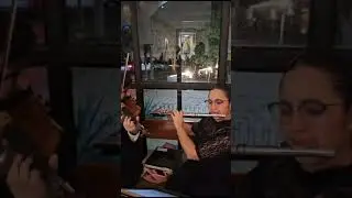 . #amadeus #wedding #sinfonica #Mérida #bodasmerida #Yucatán #musica #músicaclasica #Violines