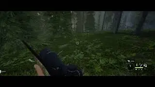 theHunter: Call of the Wild