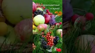 "Доброе утро" 265 #открытка