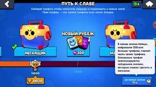 ИГРАЕМ В БРАВЛ!МОЁ ИМЯ...??????(1)