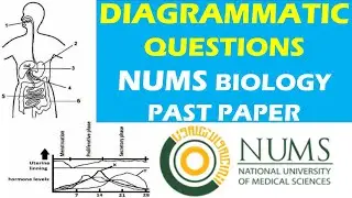 NUMS BIOLOGY PAST PAPERS | NUMS PAST PAPERS | NUMS BIOLOGY | MDCAT ONLINE PREP | MDCAT BIOLOGY