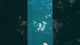 На теплоходе музыка играет 🇰🇬😂