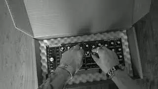 Radikal Technologies DELTA CEP A (paraphonic synthesizer)