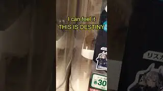 Doing IRL Arknights Gacha
