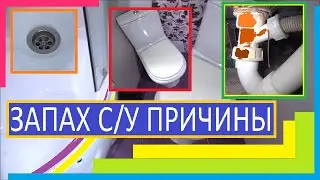 ЗАПАХИ В САНУЗЛЕ ПРИЧИНЫ / С/У ВОНЯЕТ ВСЕГДА