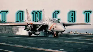 [◇] Grumman F-14 "Tomcat" [◇] | US Air Force Edit | Igunato - Neon Tokyo