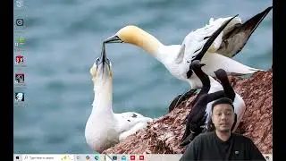 Install OpenFoam on Windows via WSL
