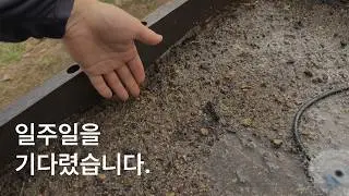 새 틀밭, 흙 채우고 바로 심으면 될까?｜가든베이스(틀밭) 흙 만들기