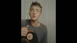Фогель-Богатыми кавер на гитаре