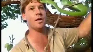 Steve Irwin - Crocodile Hunter - Die schwarze Mamba (3/4)