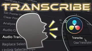 Automatically Convert SPEACH to TEXT with TRANSCRIBE I DaVinci Resolve 18