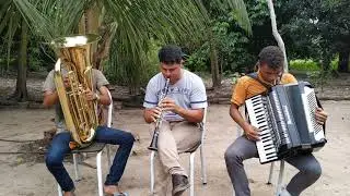 TOCATA -// PIAUÍ - ESTA VIAJEM - FAREI DE NOVO //   COM PRAZER .