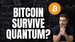Bitcoin Has A 7-Year Window To Survive Quantum Computing — The Clock Is Ticking