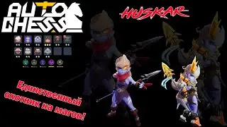 Имба против Магов! Хускар Охотник на Магов! Синергия Воины! ► Auto Chess S24