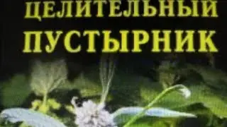Лекарственные растения - пустырник + хвощ!